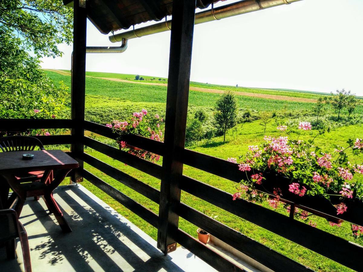 House Naomi Apartment Grabovac  Bagian luar foto